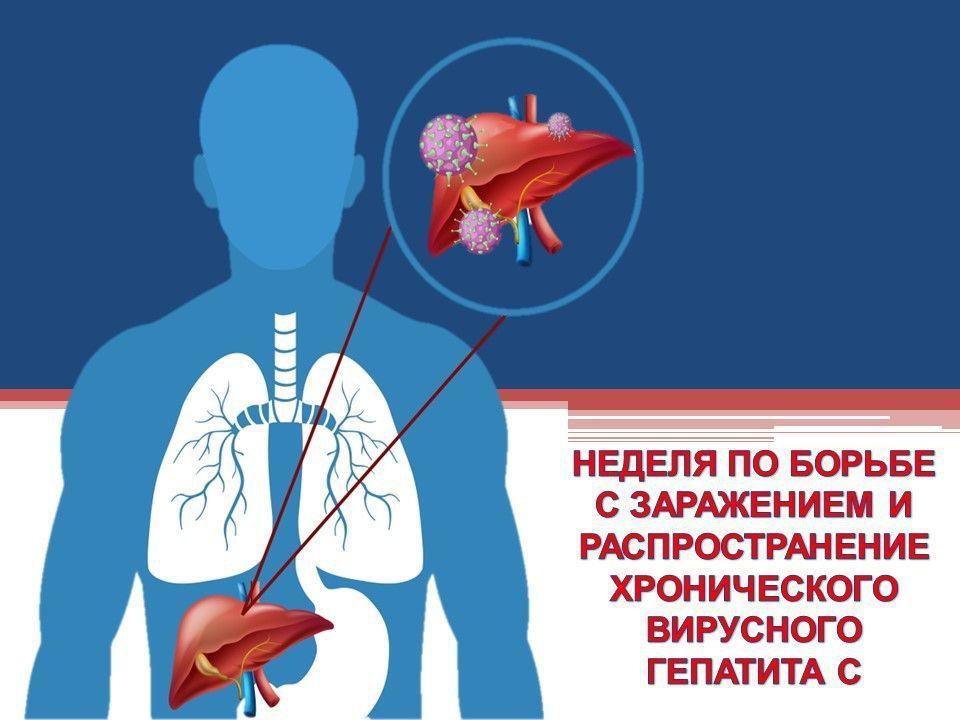 С 9 по 15 марта 2026 года объявлена Неделя по борьбе с заражением и распространением хронического вирусного гепатита С