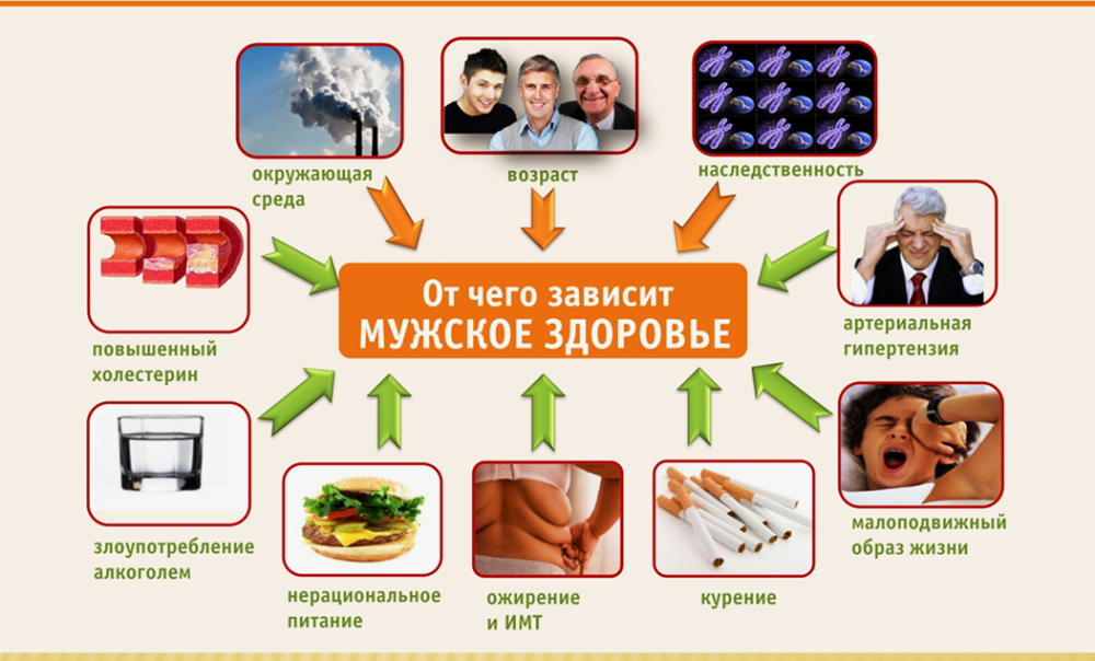В продолжении Недели сохранения мужского здоровья поговорим о факторах риска