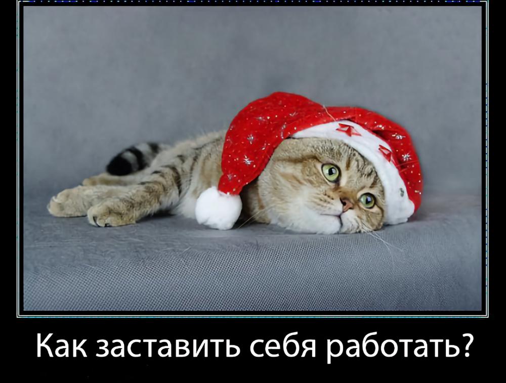 Есть ли жизнь после праздников!