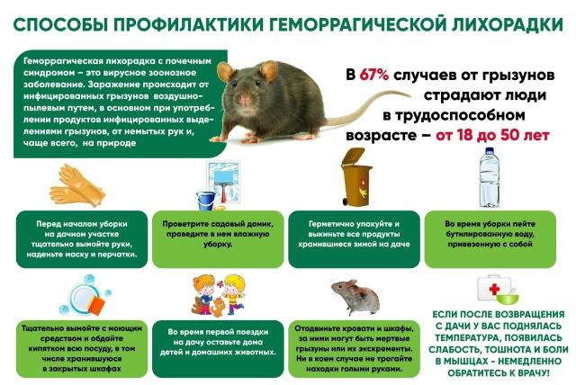 ПРОФИЛАКТИКА ГЛПС. Памятка для населения