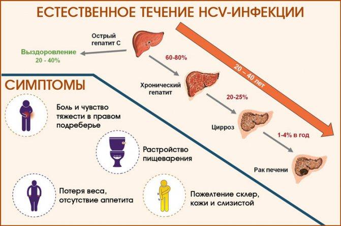 Основные пути передачи гепатита С